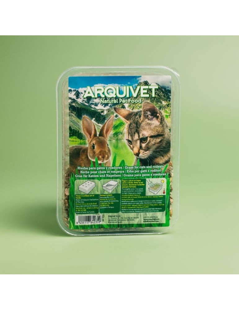 Erva fresca para gatos em bandeja 100g