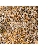 Hierba gatera en bandeja 100 g | Estimulante natural gatos ✅