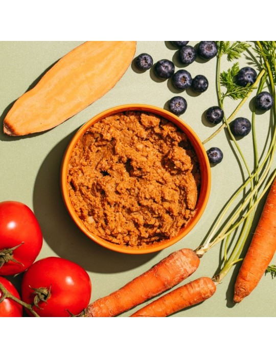 Comida úmida vegetariana para Cães Naturais