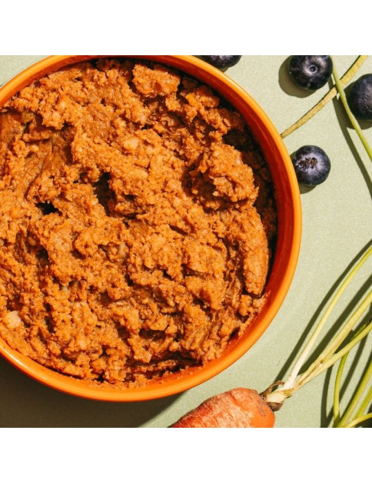 Cibo umido vegetariano per cani naturali
