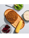 VEGGIEANIMALS Digest+ 3 and 12 kg – Complete vegan kibble for adult cats – digestion and urinary health