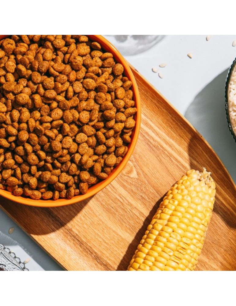 Pienso vegano VeggieAnimals Digest | 3 kg y 12 kg para gatos ✅