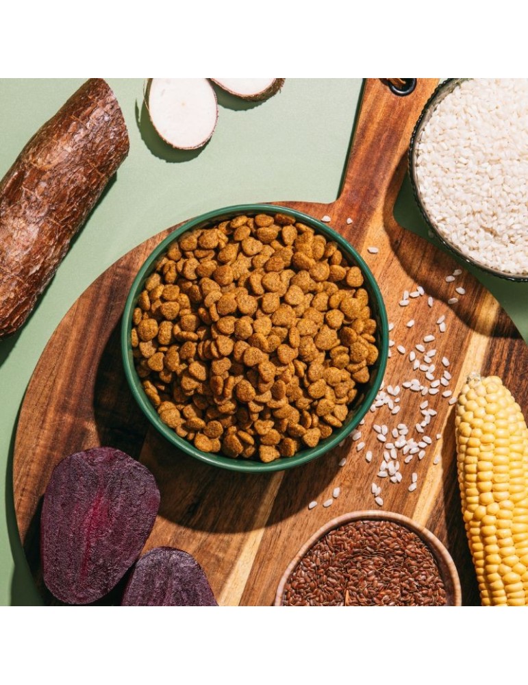 Pienso vegano para gatos Benevo Cat | 1,8 kg y 10 kg ✅