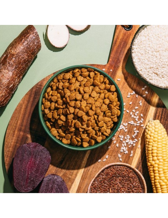 Pienso vegano para gatos Benevo Cat | 1,8 kg y 10 kg ✅