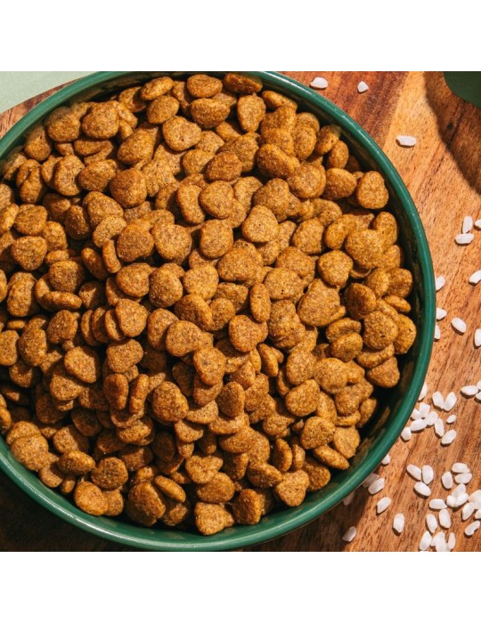 Pienso vegano para gatos Benevo Cat | 1,8 kg y 10 kg ✅