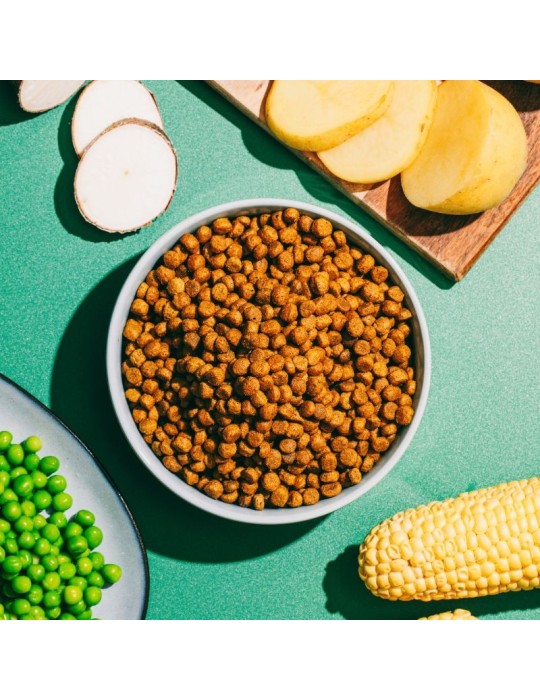 Pienso vegano para gatos Ami Cat | 300 g, 1,5 kg y 7,5 kg ✅