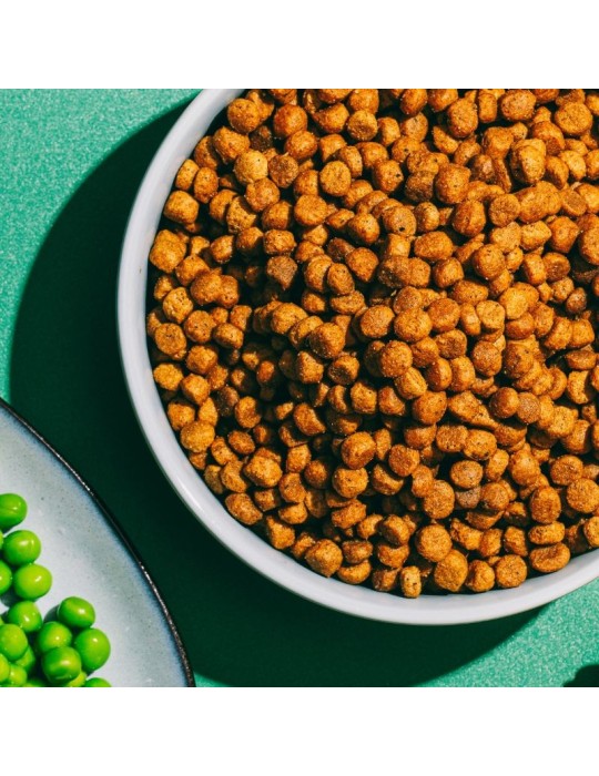Pienso vegano para gatos Ami Cat | 300 g, 1,5 kg y 7,5 kg ✅