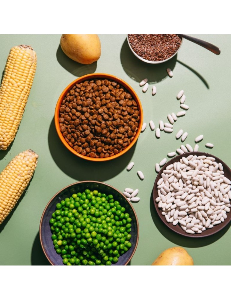 Snacks Naturali per Cani