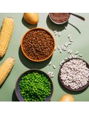 Snacks Naturali per Cani