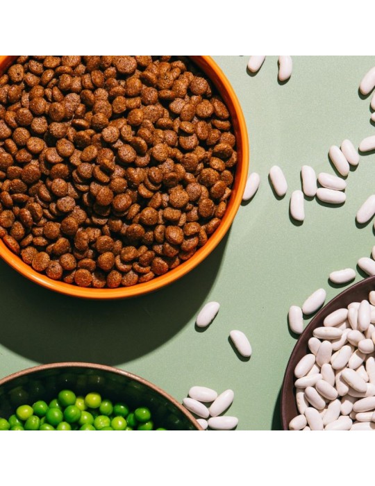 Alimento vegano para gatos V.E.G | Alta proteína y taurina ✅