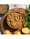 Cibo umido vegetariano per cani naturali