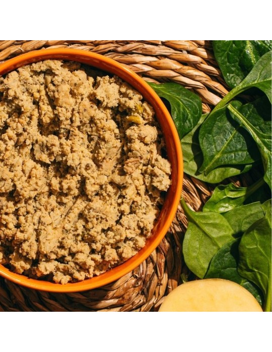Cibo umido vegetariano per cani naturali