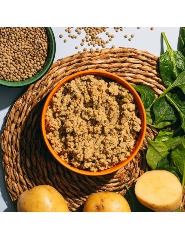 Cibo umido vegetariano per cani naturali 2