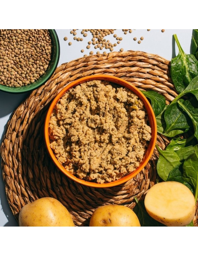 Vegetarian wet food for dogs Natural