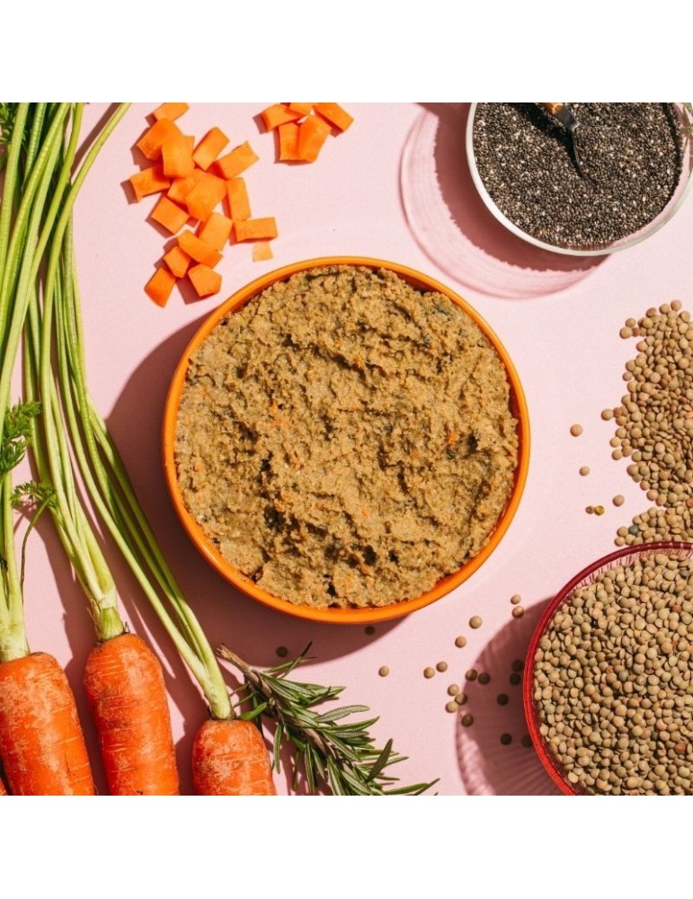 Comida úmida vegetariana para Cães Naturais