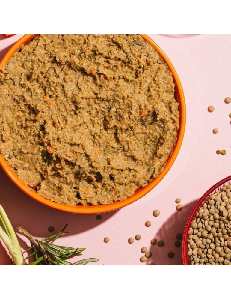 Comida úmida vegetariana para Cães Naturais