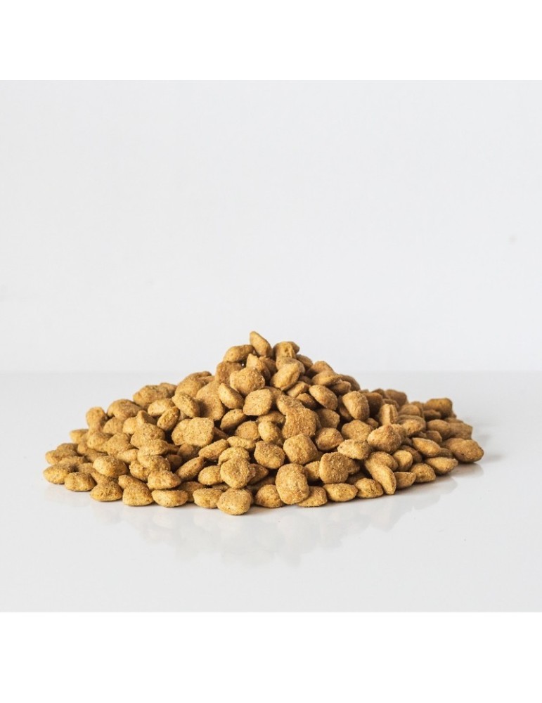 VEGGIEANIMALS Plus 2 e 12,5 kg – Ração natural e vegana para cães – digestão e saúde urinária