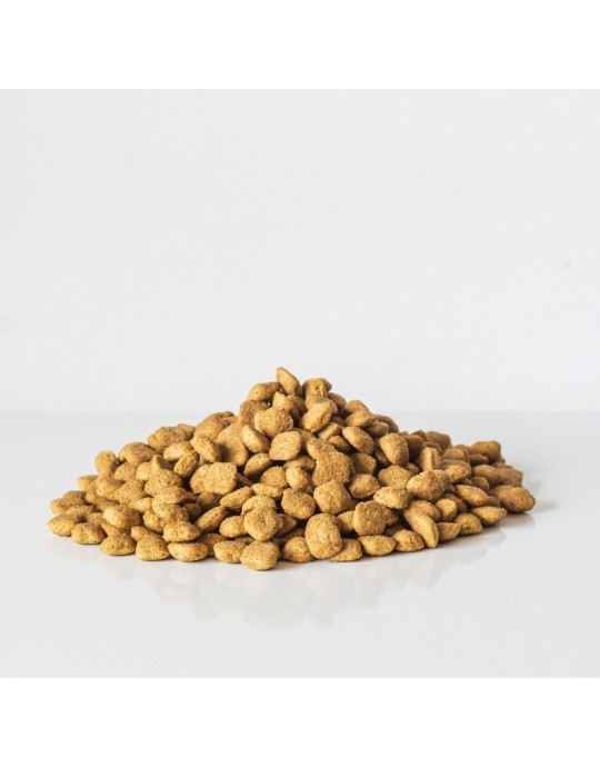 VEGGIEANIMALS Plus 2 and 12.5 kg – Natural and vegan kibble for dogs – digestion and urinary health