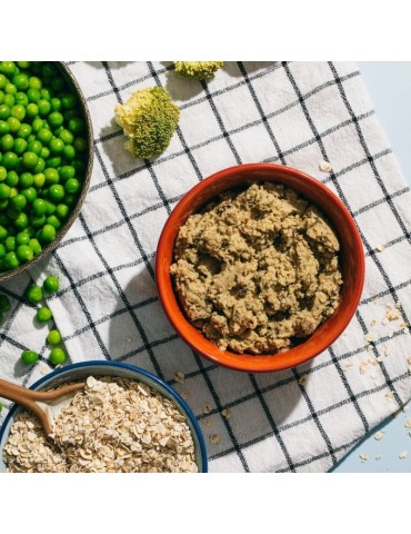 Cibo umido vegetariano per cani naturali 2