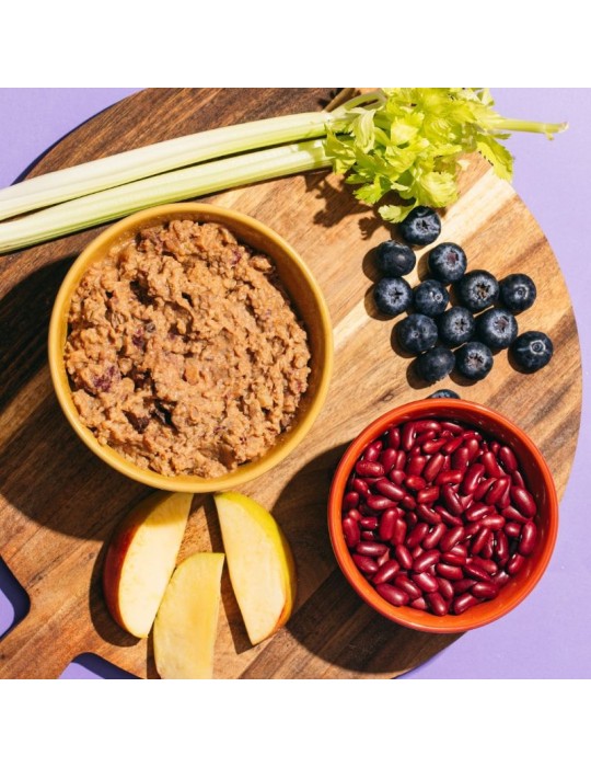 AMI Purple 400 g | Alimento húmedo vegano completo ✅