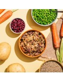 Cibo umido vegetariano per cani naturali
