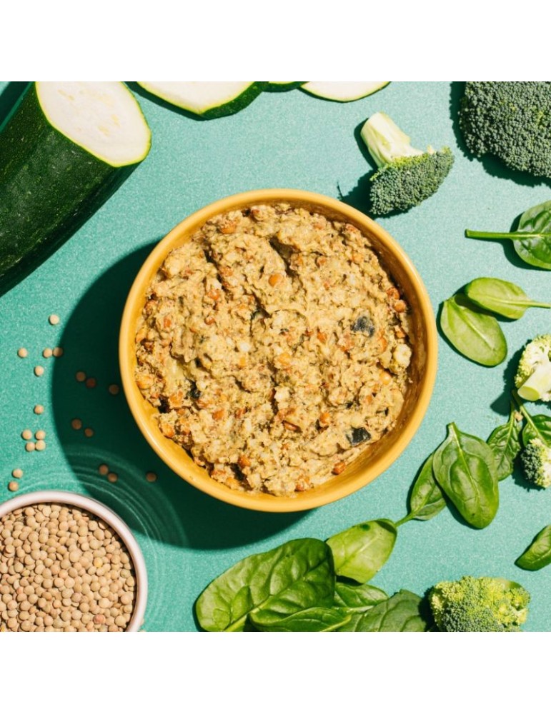 Vegetarian wet food for dogs Natural
