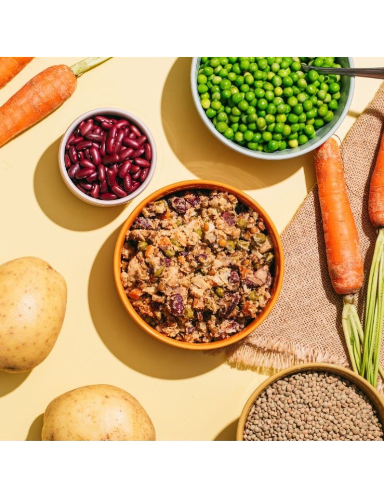 Comida úmida vegetariana para Cães Naturais